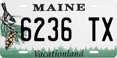 ME license plate 6236TX