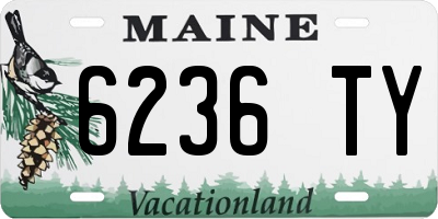 ME license plate 6236TY