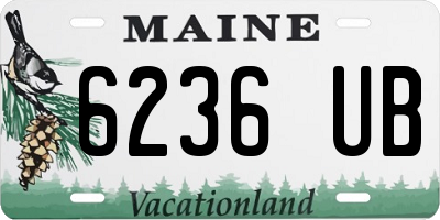 ME license plate 6236UB