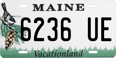 ME license plate 6236UE