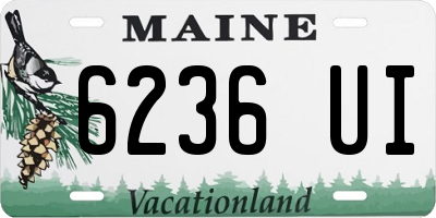 ME license plate 6236UI