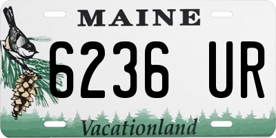 ME license plate 6236UR