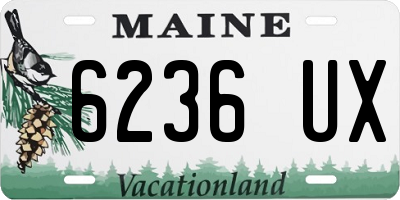 ME license plate 6236UX
