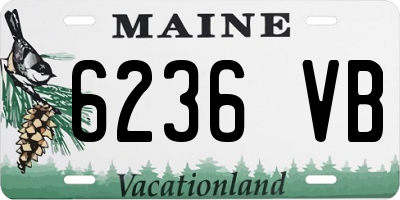ME license plate 6236VB