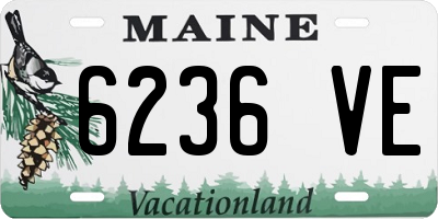 ME license plate 6236VE