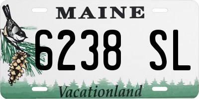 ME license plate 6238SL
