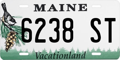 ME license plate 6238ST