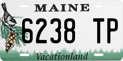 ME license plate 6238TP