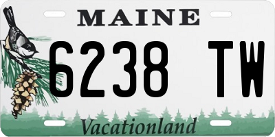 ME license plate 6238TW