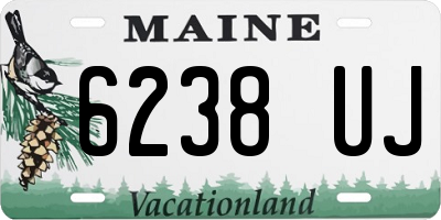 ME license plate 6238UJ
