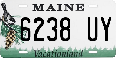 ME license plate 6238UY