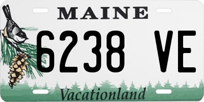ME license plate 6238VE
