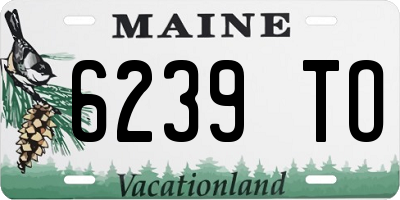 ME license plate 6239TO