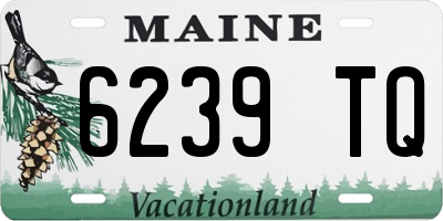 ME license plate 6239TQ