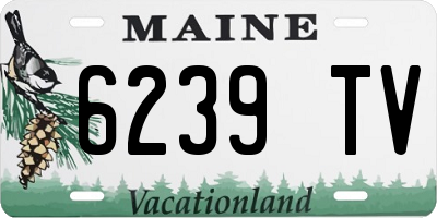 ME license plate 6239TV