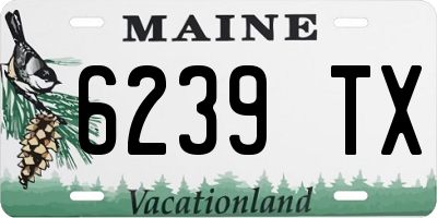 ME license plate 6239TX