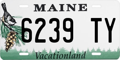ME license plate 6239TY