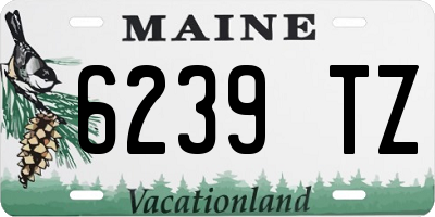 ME license plate 6239TZ