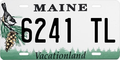 ME license plate 6241TL