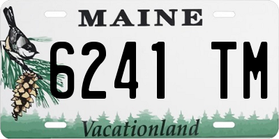 ME license plate 6241TM