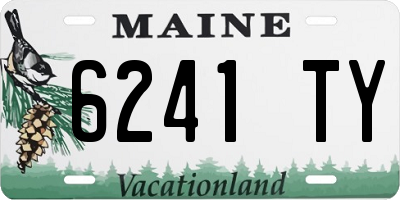 ME license plate 6241TY
