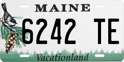 ME license plate 6242TE