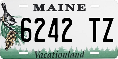 ME license plate 6242TZ