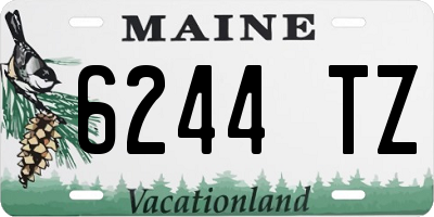 ME license plate 6244TZ