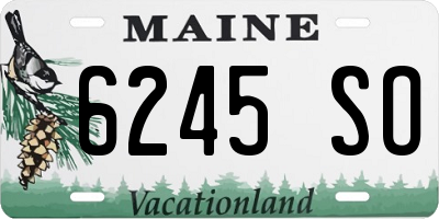 ME license plate 6245SO