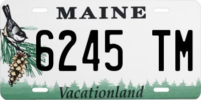 ME license plate 6245TM