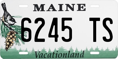 ME license plate 6245TS