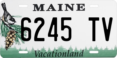 ME license plate 6245TV