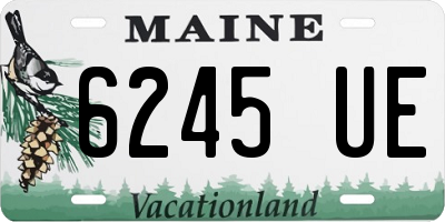 ME license plate 6245UE