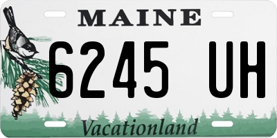 ME license plate 6245UH
