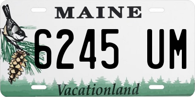 ME license plate 6245UM