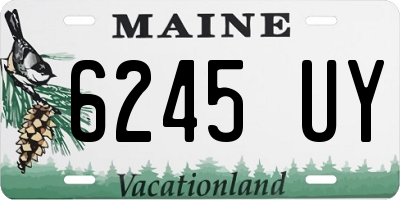 ME license plate 6245UY