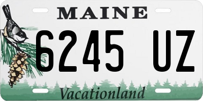 ME license plate 6245UZ