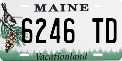 ME license plate 6246TD