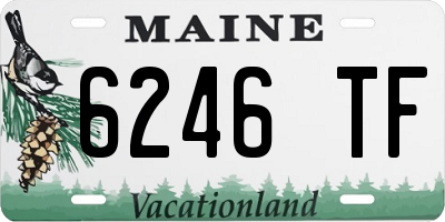 ME license plate 6246TF