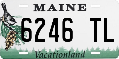 ME license plate 6246TL
