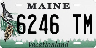 ME license plate 6246TM
