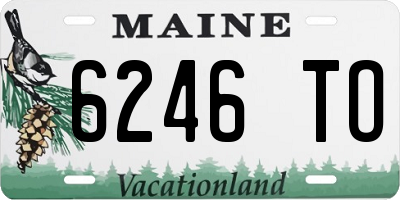 ME license plate 6246TO