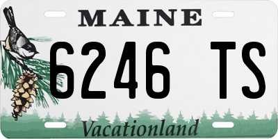 ME license plate 6246TS