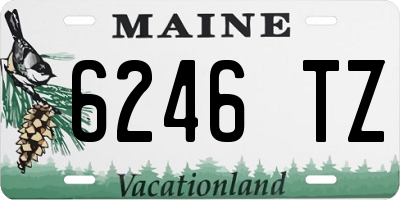 ME license plate 6246TZ