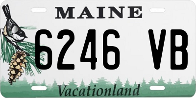 ME license plate 6246VB