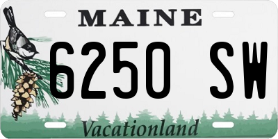 ME license plate 6250SW