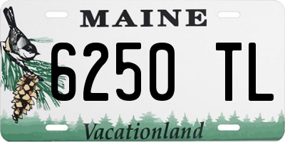 ME license plate 6250TL
