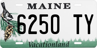 ME license plate 6250TY