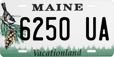 ME license plate 6250UA