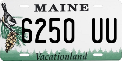 ME license plate 6250UU